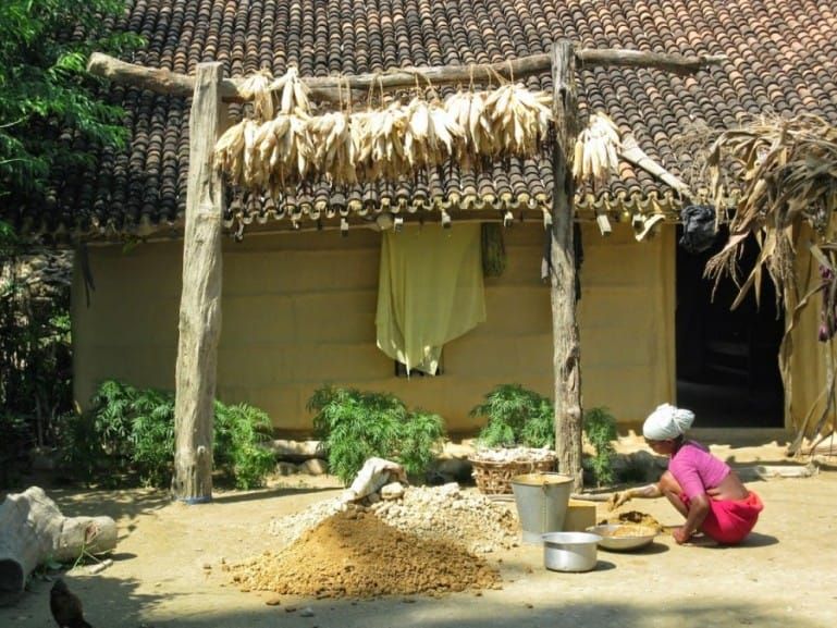 A related wildlife experience in Nepal