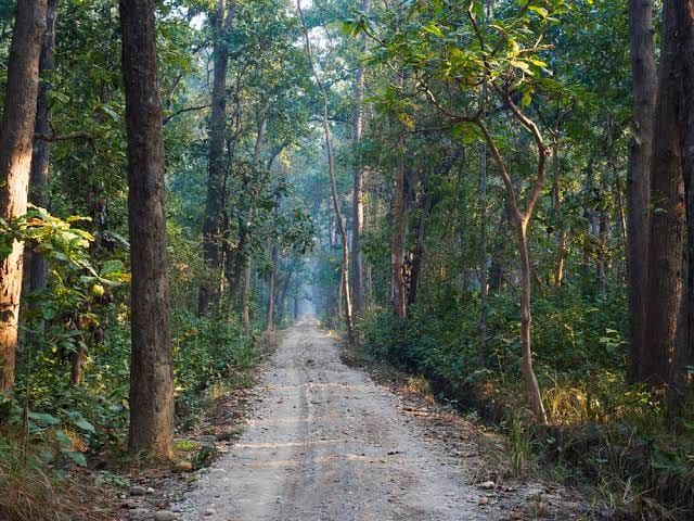 Bardiya & Khata Corridor — photograph 7