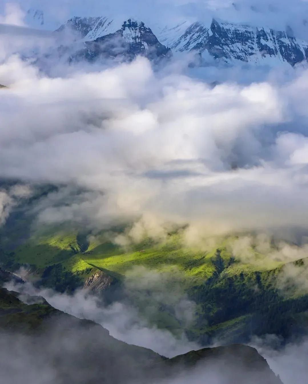 A related nature experience in Nepal