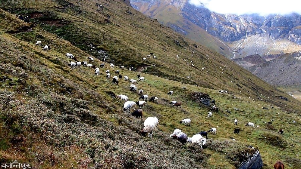 A related trekking experience in Nepal