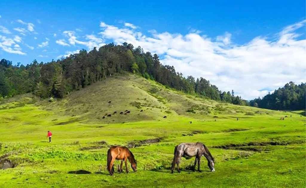A related trekking experience in Nepal