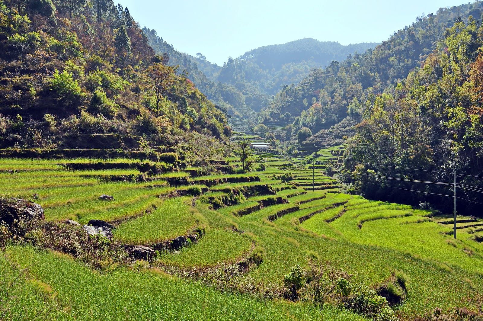 A related culture experience in Nepal