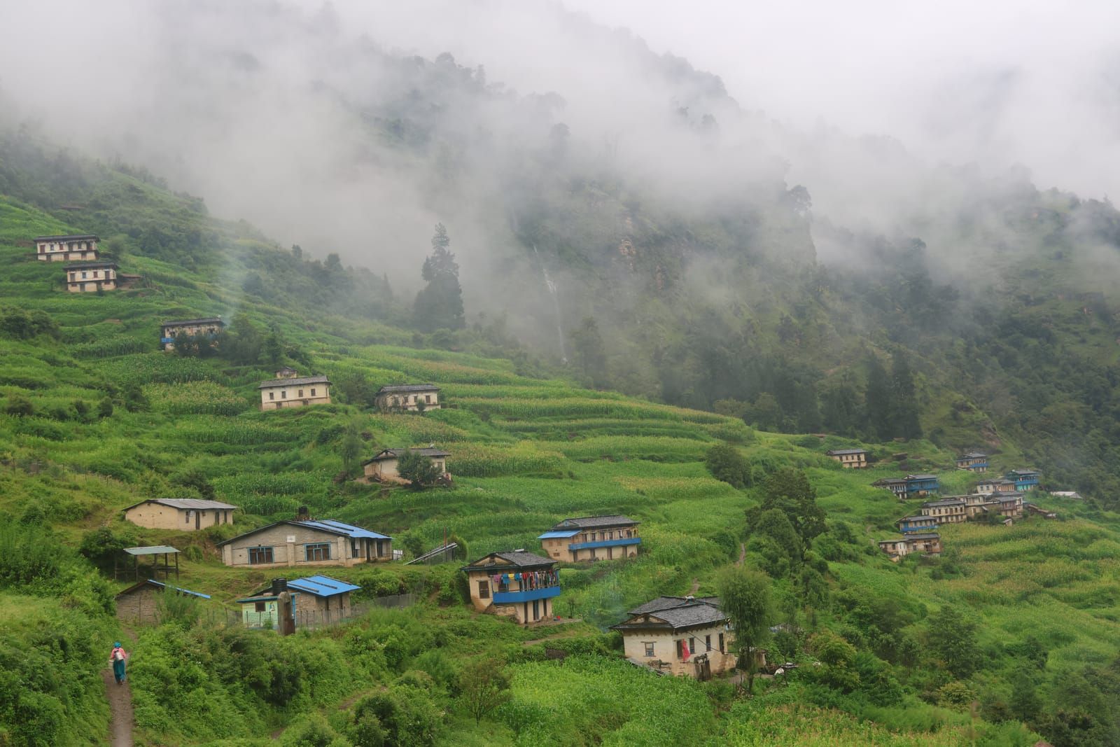 A related nature experience in Nepal