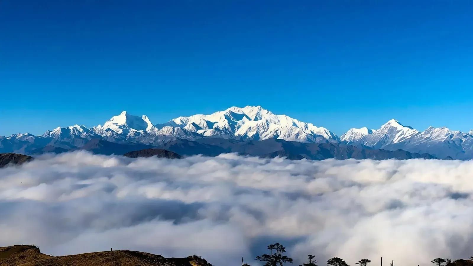 A related nature experience in Nepal